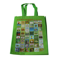 大足LB11覆膜无纺布广告袋